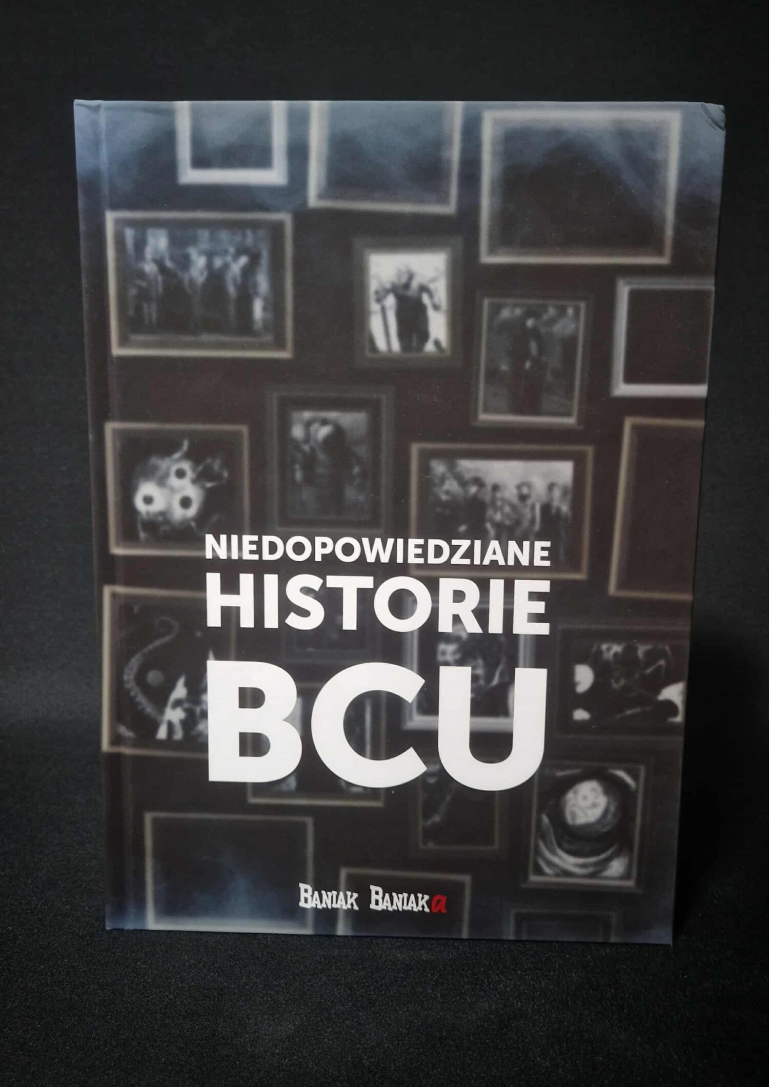 Niedopowiedziane historie: BCU - OUTLET - obrazek 5